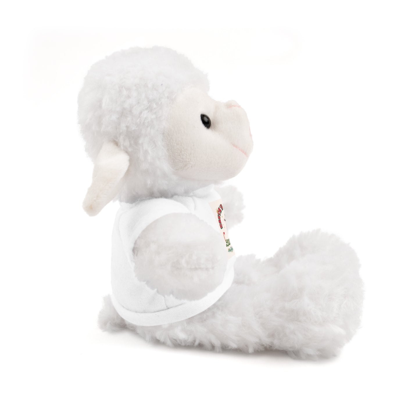 Plush Teddy Bear with 'Santa's Newest Little One' T‑Shirt – Cute Christmas Gift
