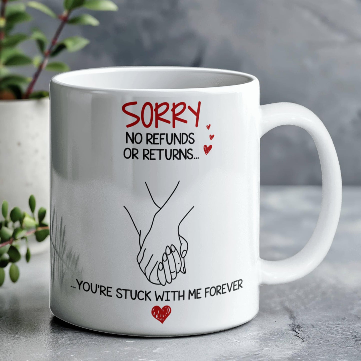 No refunds-returns Mug